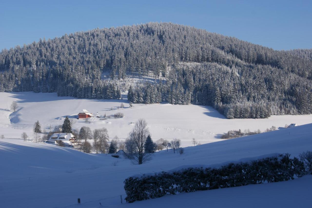 Zur Traube Schwarzwaldhotel & Restaurant Am Titisee Sankt Märgen Zewnętrze zdjęcie