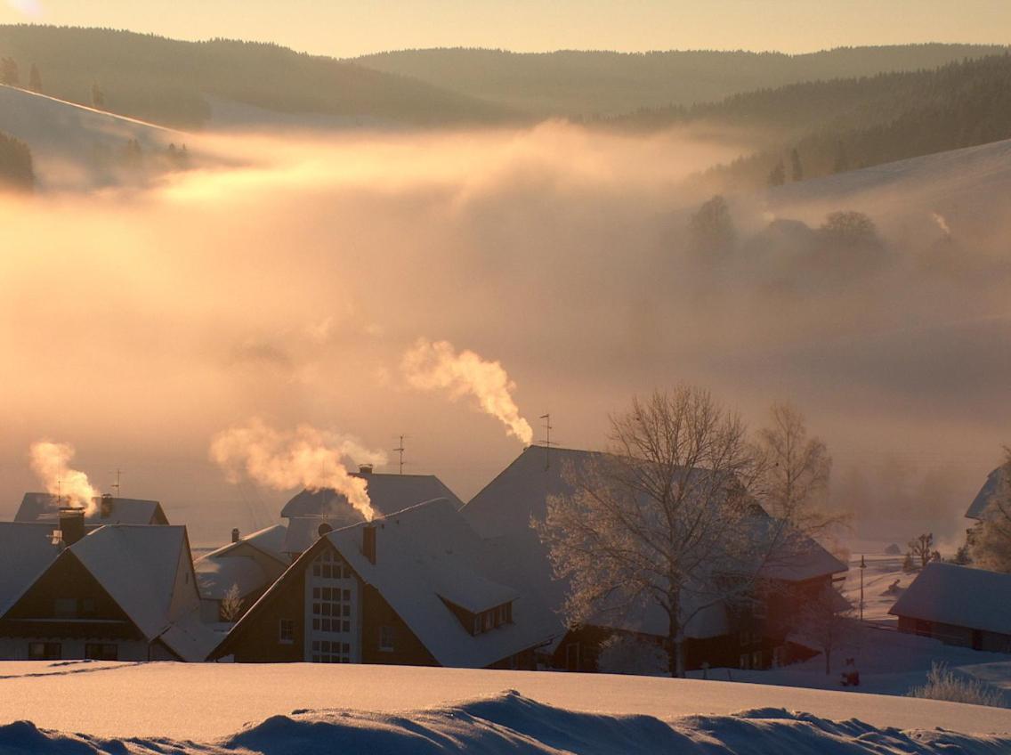 Zur Traube Schwarzwaldhotel & Restaurant Am Titisee Sankt Märgen Zewnętrze zdjęcie