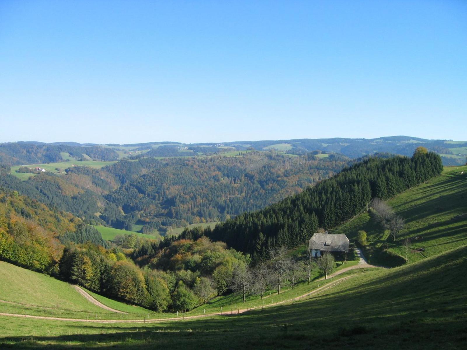 Zur Traube Schwarzwaldhotel & Restaurant Am Titisee Sankt Märgen Zewnętrze zdjęcie