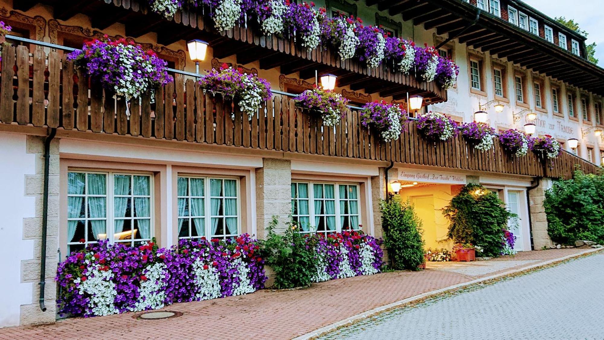 Zur Traube Schwarzwaldhotel & Restaurant Am Titisee Sankt Märgen Zewnętrze zdjęcie